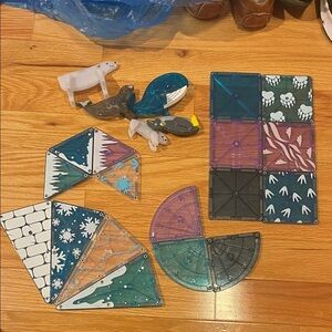 Arctic animals magnatiles